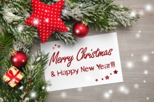 Merry Christmas and Happy New Year from Homecare Inc Remodeling